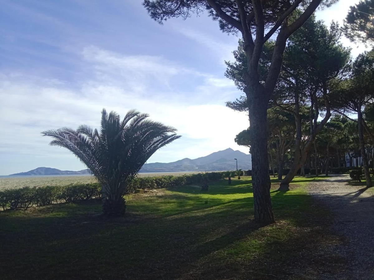 Belle Vue Au Calme Sur La Plage Argelès-sur-Mer Kültér fotó